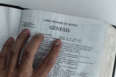 escribe el titulo correcto