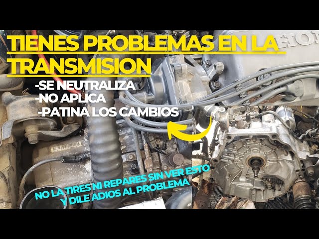 solucionando problemas comunes en la quest 2007 diagnosis y soluciones efectivas