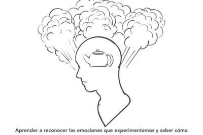sus emociones pueden y es probable que lo hagan afectar su conduccion